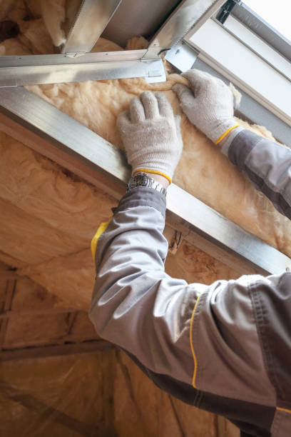 Best Insulation Replacement Services  in Fairmont, MN